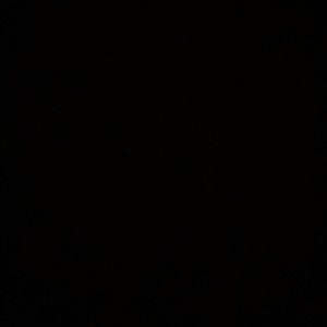 Meet your Posher, Ricky